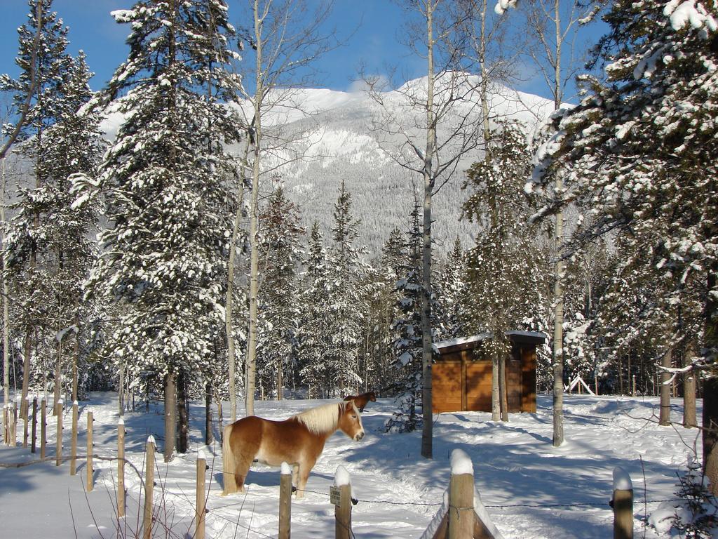 Mica Mountain Lodge & Log Cabins Tete Jaune Cache Bagian luar foto